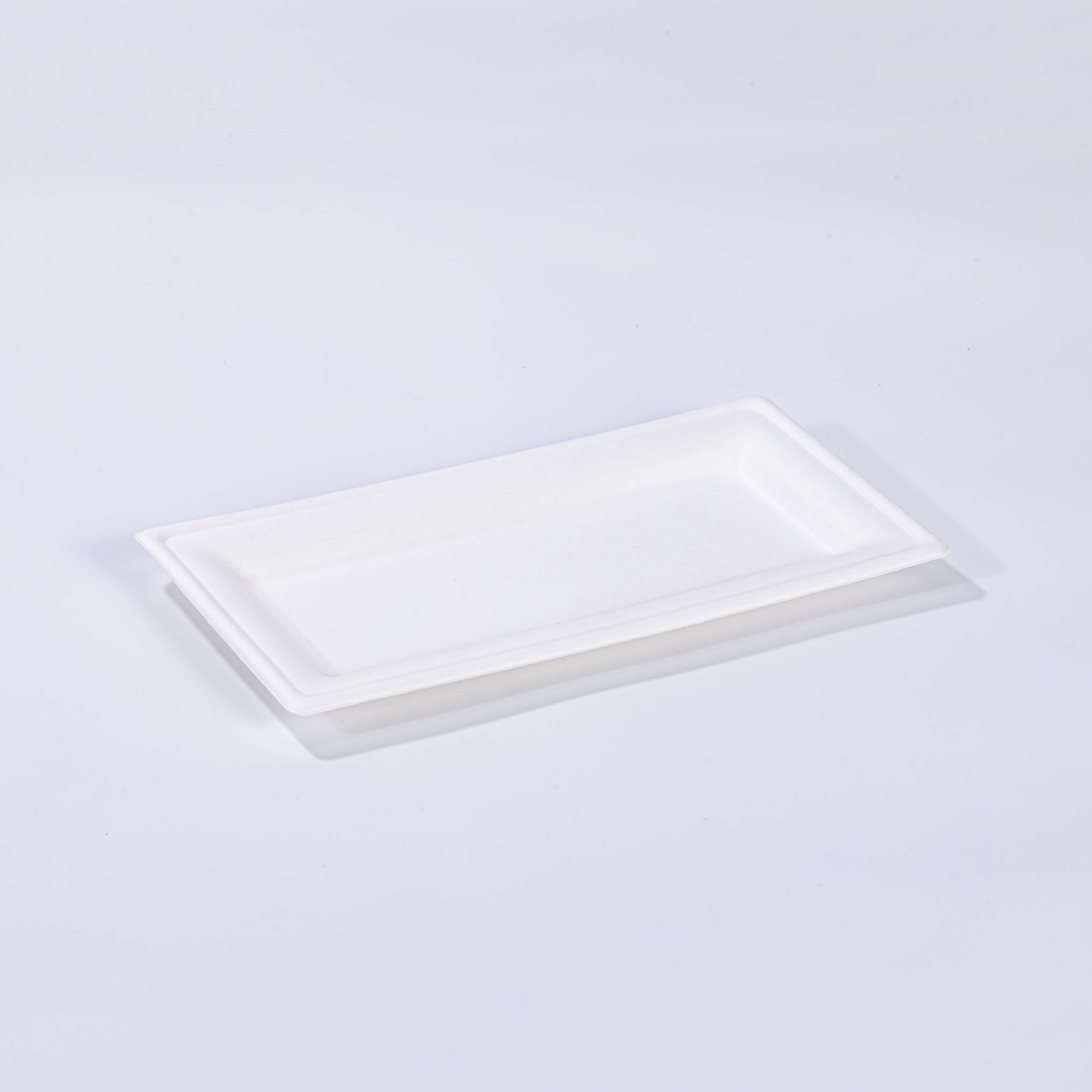 10.24"x5.12"xH0.79" Disposable Compostable Sugarcane Fiber Rectangle Plate