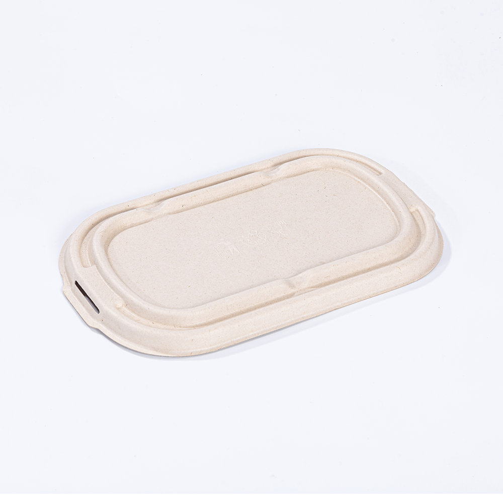  Disposable Compostable Sugarcane Pulp Take Out Food Containers with Lid