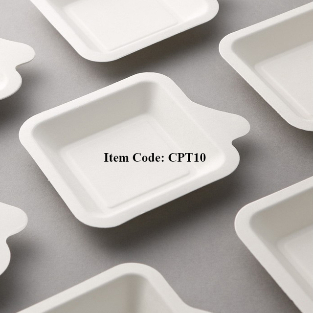 Biodegradable Compostable Bagasse Fiber Dessert Trays