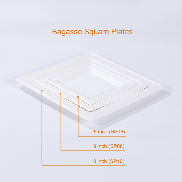 Disposable Biodegradable Compostable Sugarcane Fiber Square Plates