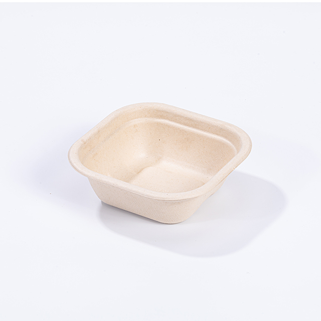 280ml Square Biodegradable Compostable Bagasse Food Containers with PET Lid