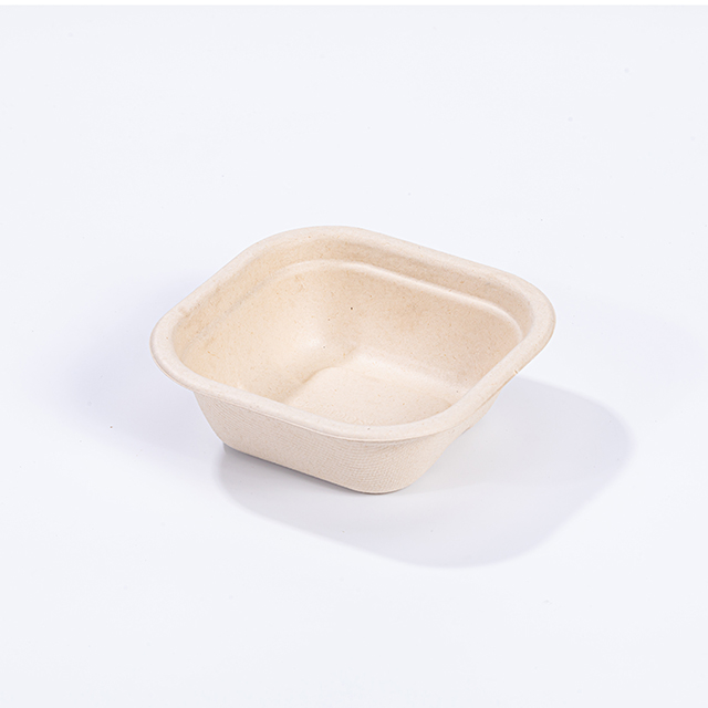 PET Lid for 280ml Bagasse Square Food Containers