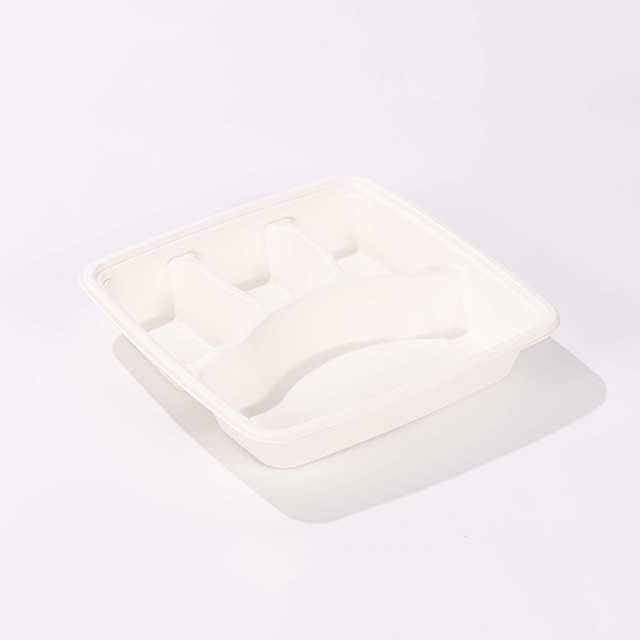 Biodegradable Compostable Bagasse Lid for Square Fiber Take Out Trays