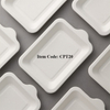 Biodegradable Compostable Bagasse Fiber Dessert Trays