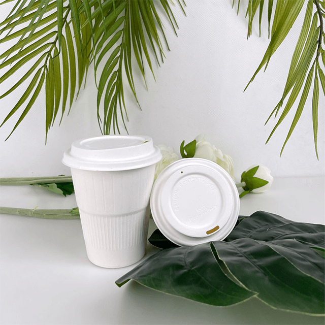 Biodegradable Compostabe Sugarcane Pulp Coffee Cup Lid