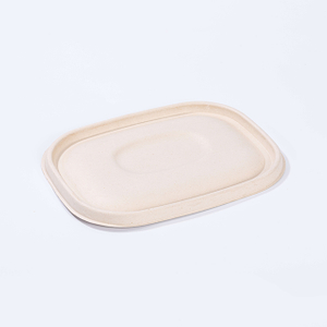 Bagasse Pulp Lid for Sugarcane Fiber To Go Food Boxes