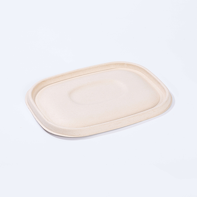 Bagasse Pulp Lid for Sugarcane Fiber To Go Food Boxes