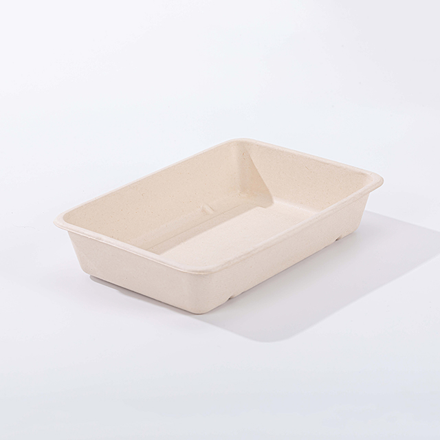 28oz Rectangle Biodegradable Compostable Bagasse Fiber Takeaway Food Box with PET Lid