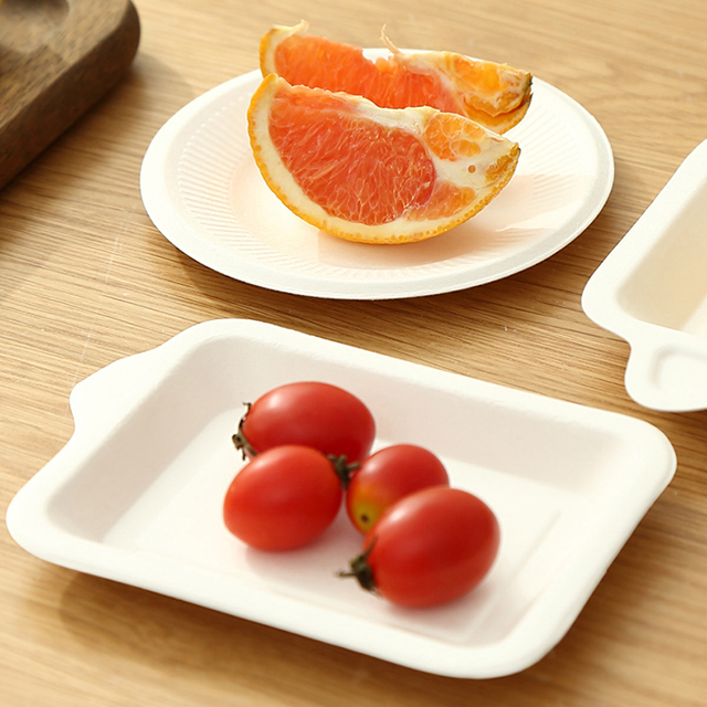 Biodegradable Compostable Bagasse Fiber Dessert Trays