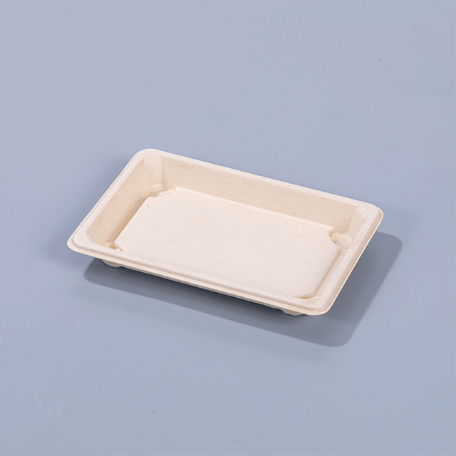 Disposable Compostable Bagasse Sushi Trays with PET Lids