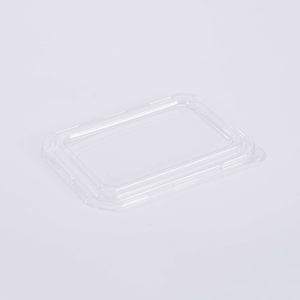 PET Lid for Compostable Sugarcane Bagasse Take Out Food Boxes