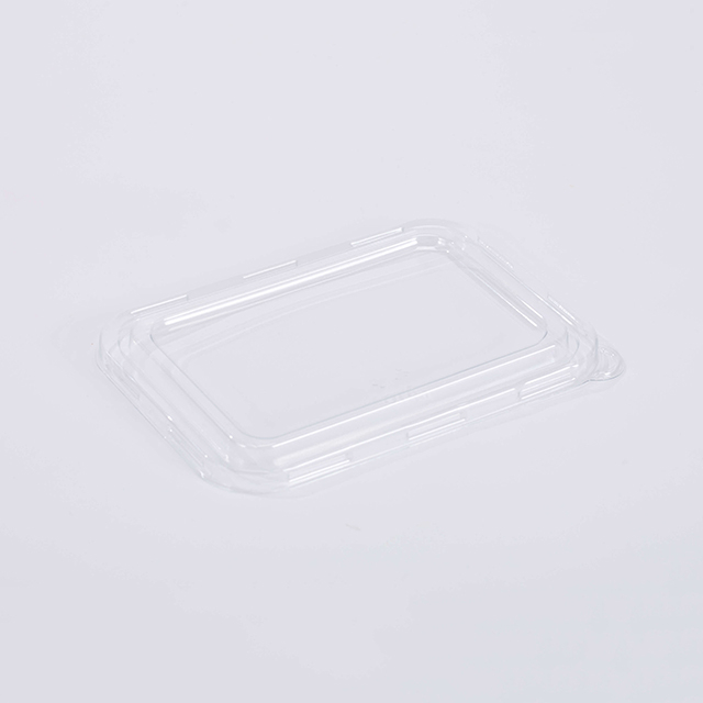 PET Lid for Compostable Sugarcane Bagasse Take Out Food Boxes