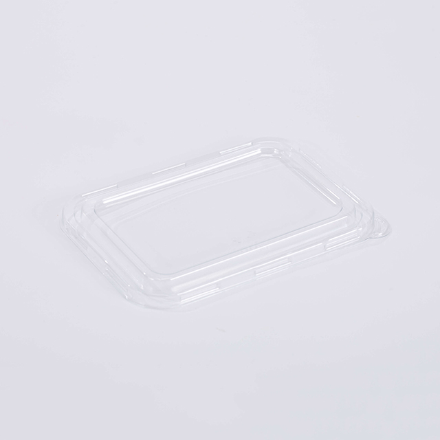 Compostable Bagasse Take Out Food Boxes with Lid