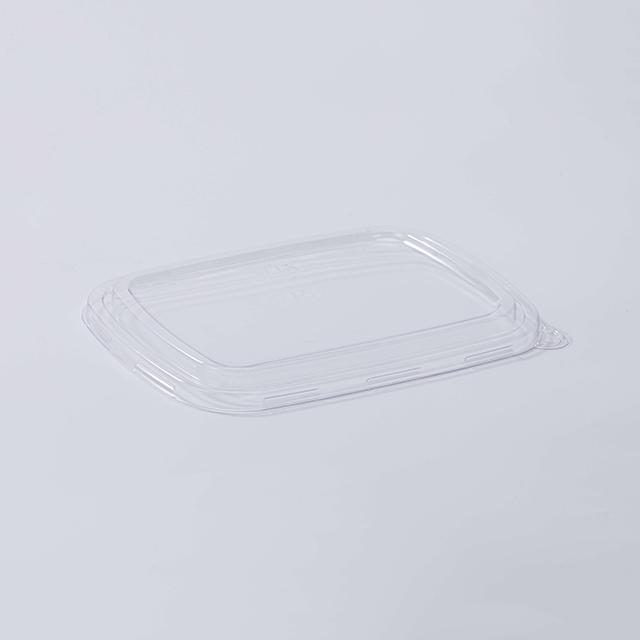 PET Lid for Rectangle Compostable Sugarcane Takeaway Food Box