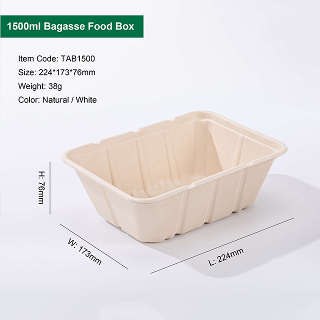 Large Capacity Biodegradable Compostable Sugarcane Fiber Takeaway Food Boxes with Lid