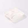 Biodegradable Compostable Bagasse Lid for Square Fiber Take Out Trays