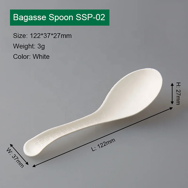 Classical Compostable Bagasse Fiber Spoon