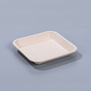 6.02"x6.02"xH0.94" Biodegradable Compostable Sugarcane Meat And Vegetable Tray