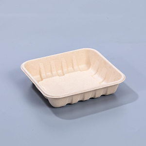 6.1"x5.71"xH1.38" Disposable Biodegradable Compostable Sugarcane Fiber Meat And Vegetable Tray