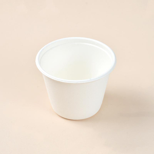 16oz Disposable Compostabe Sugarcane Soup Cup with Lid