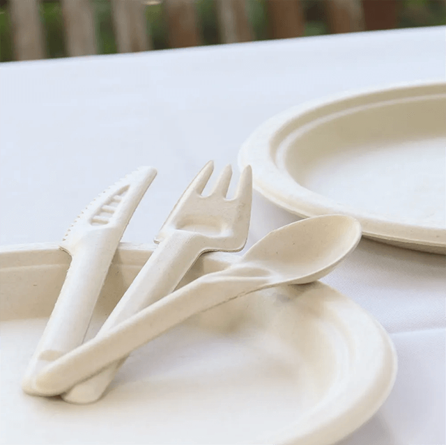 Disposable Compostable Bagasse Spoon