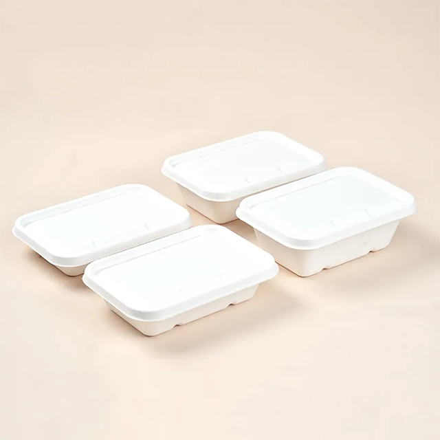 Compostable Bagasse Take Out Food Boxes with Lid